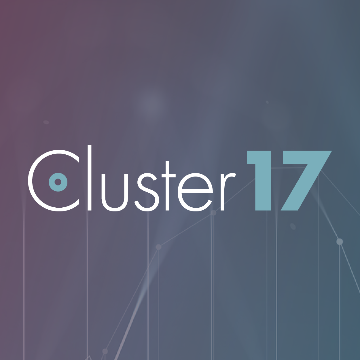 cluster17.com